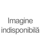 AR Cangini